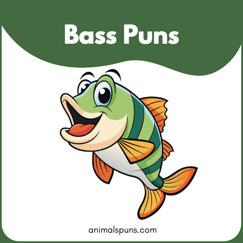 Bass puns