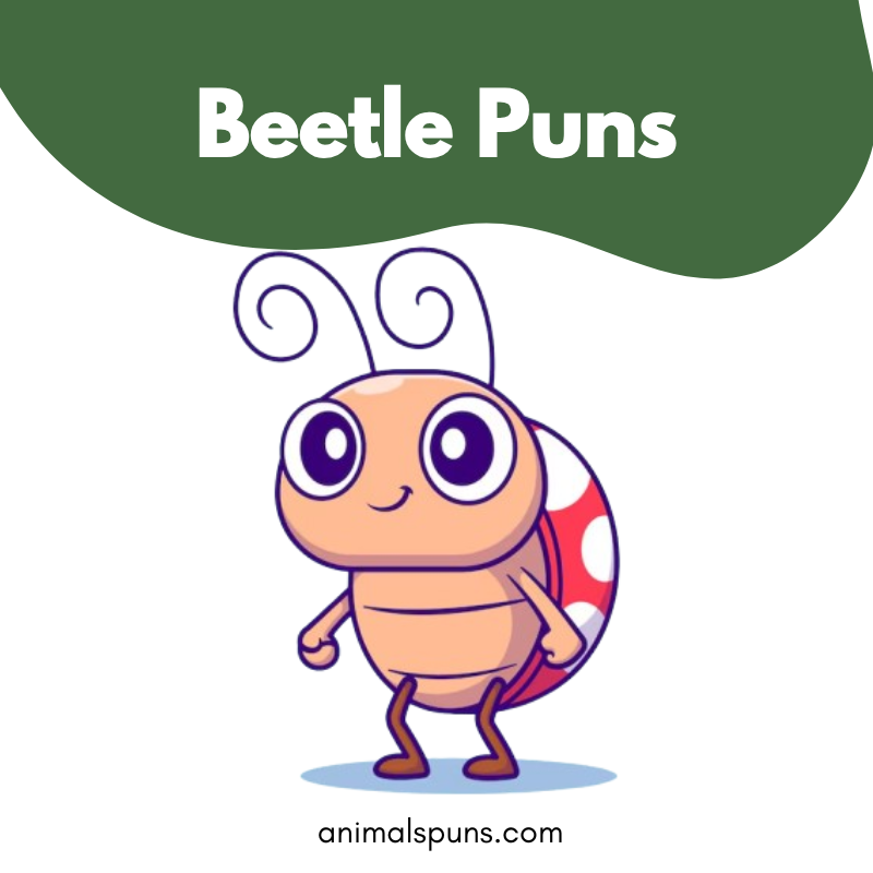 Beetle puns