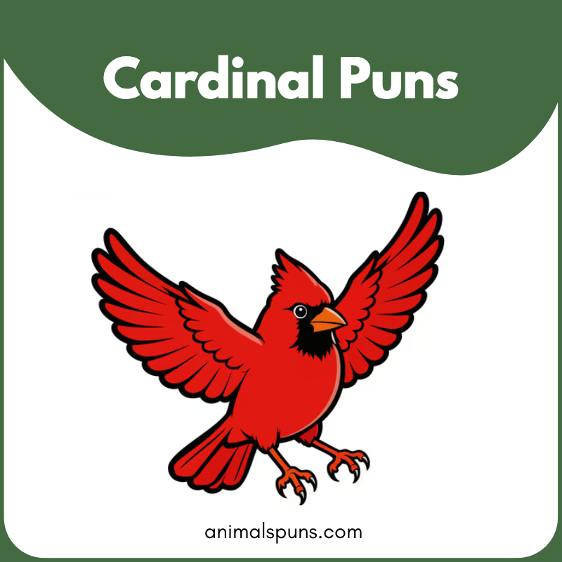 Cardinal puns