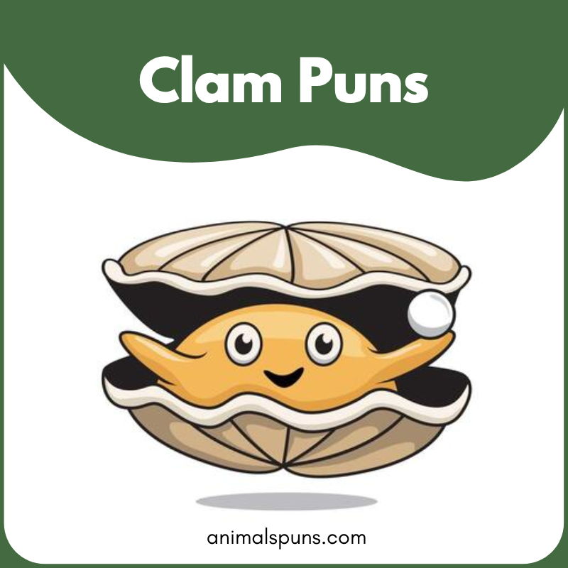 Clam puns