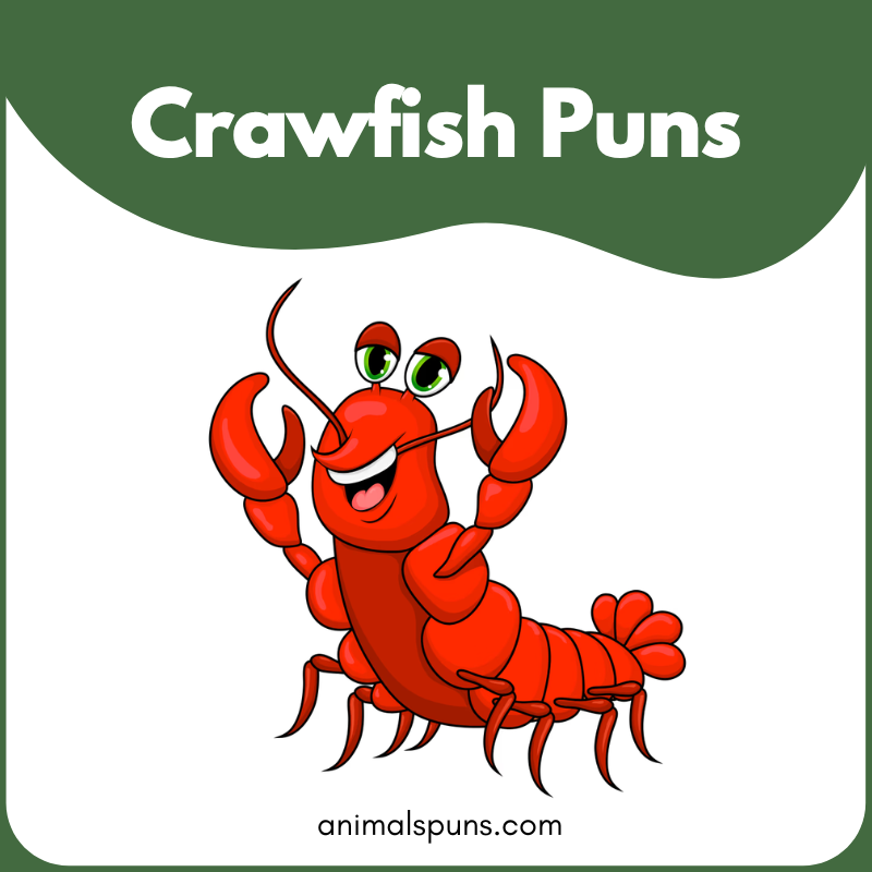 Crawfish puns