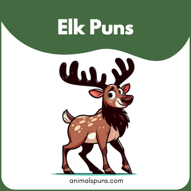 Elk puns