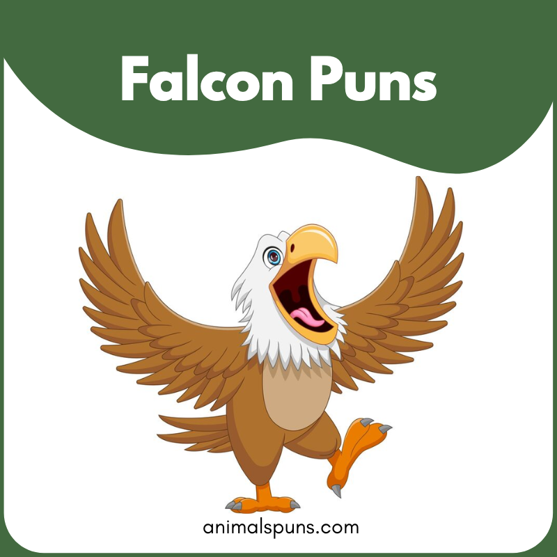 Falcon puns