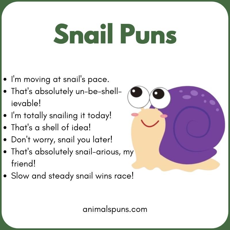 Cute and Adorable Snail Jokes for Kids: snail pun illustration