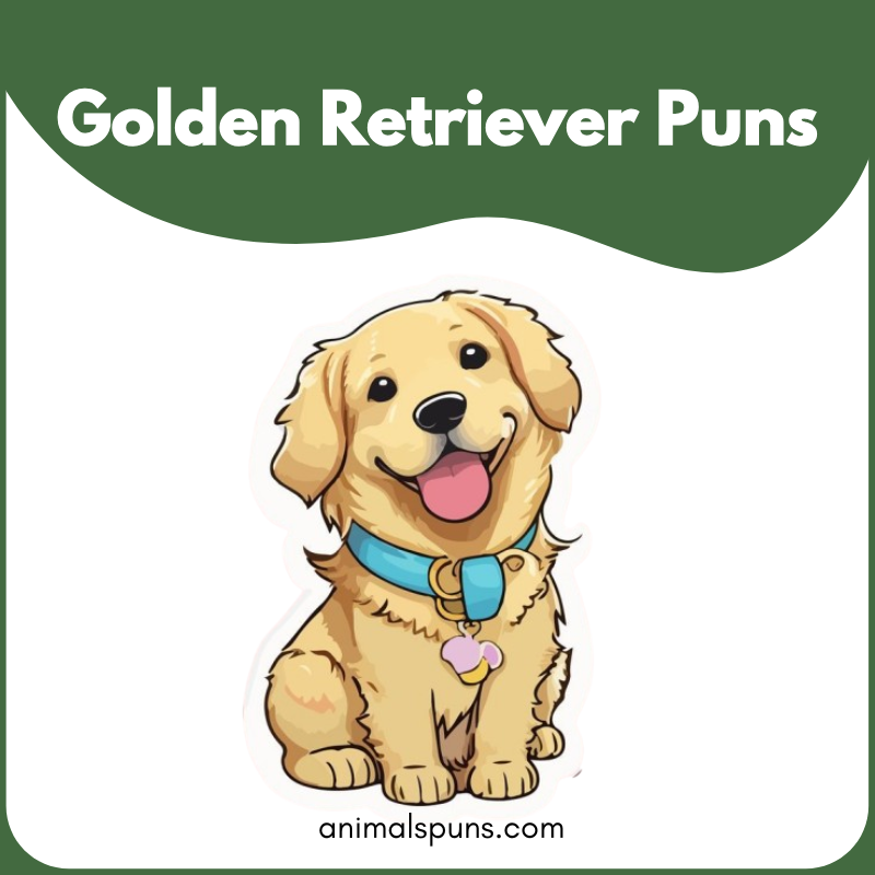 Golden Retriever puns