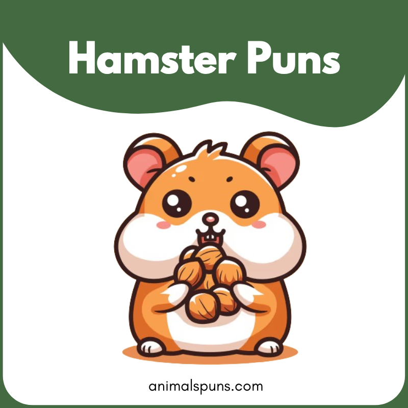 Hamster puns