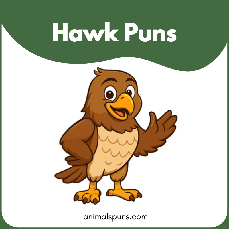 Hawk puns