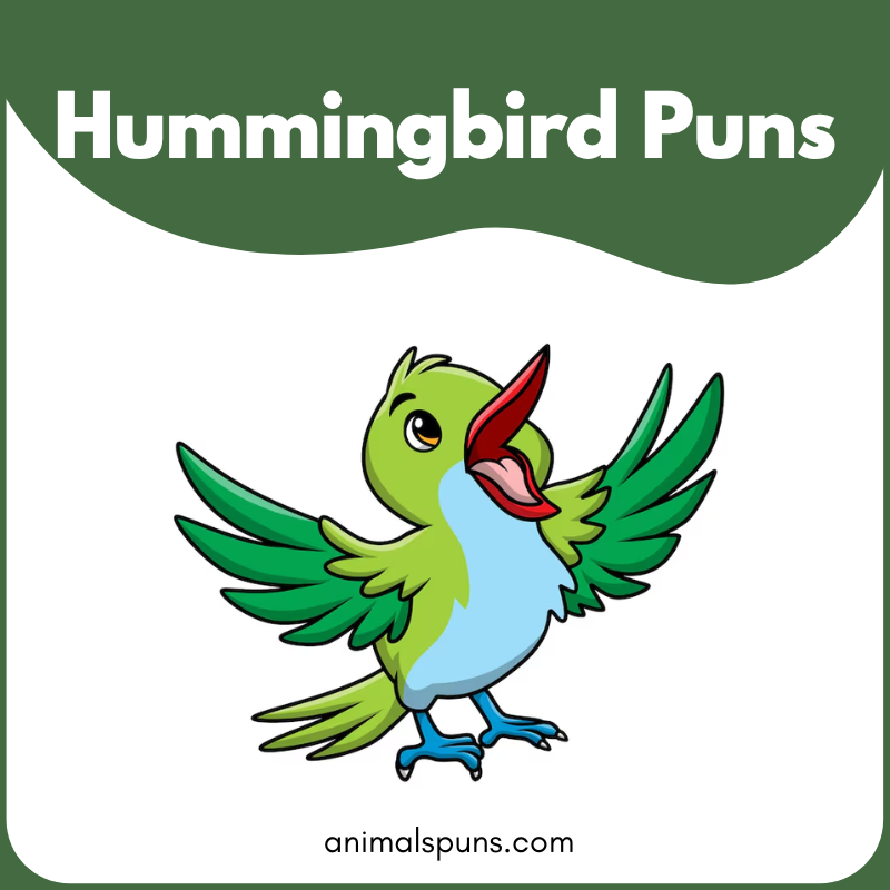 Hummingbird puns