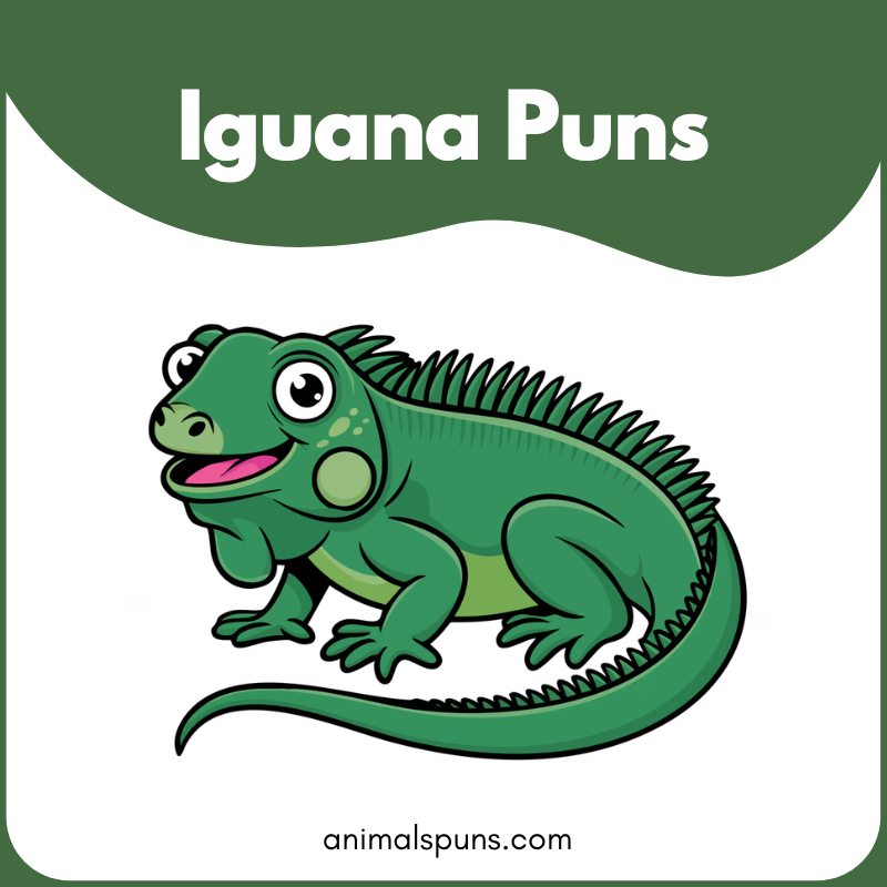 Iguana puns