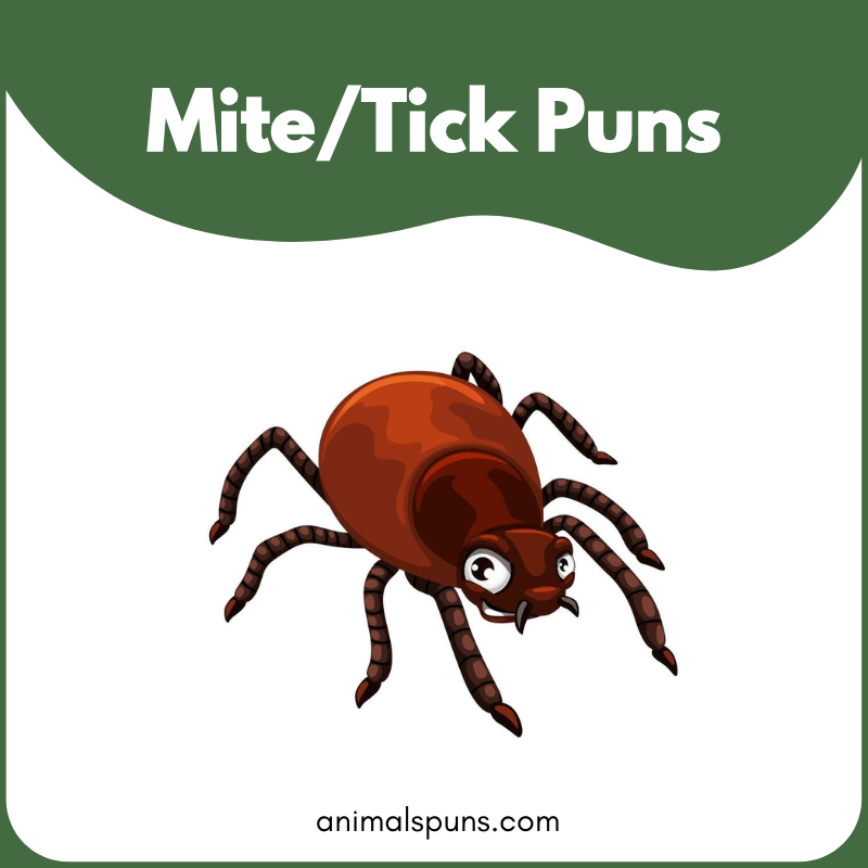 Tick puns
