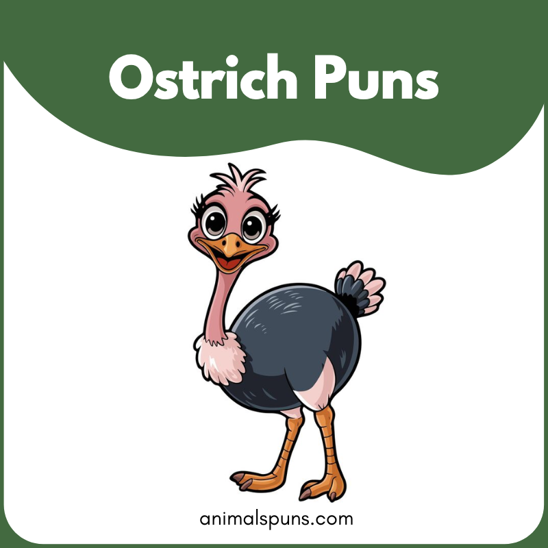 Ostrich puns