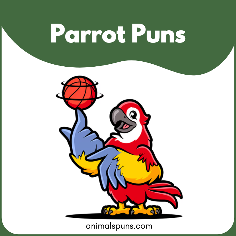 Parrot puns