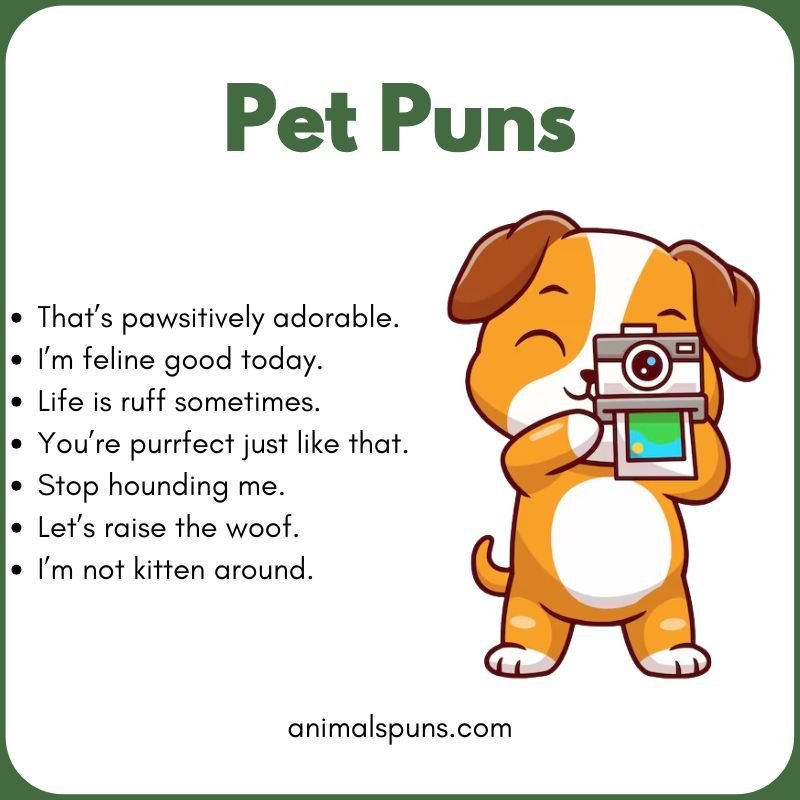 Dog Puns That Are Paw-sitively Hilarious: pet pun illustration