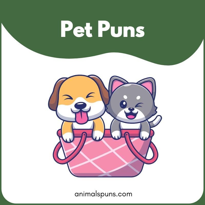 Pet puns