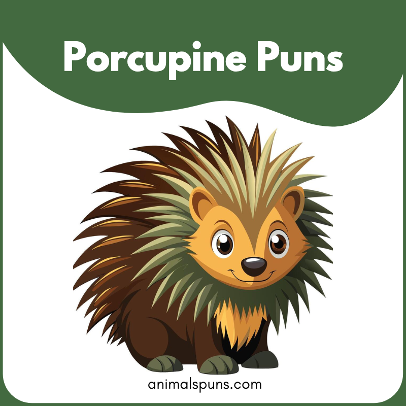 Porcupine puns