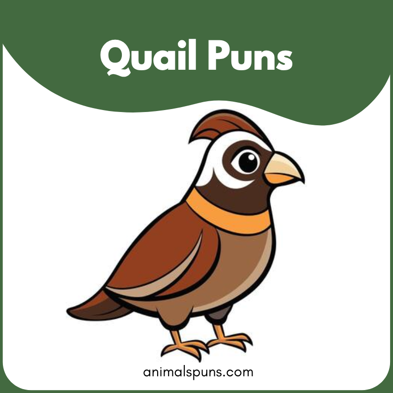 Quail puns