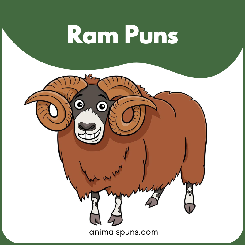 Ram puns