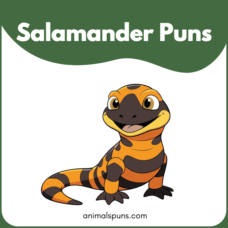 Salamander puns