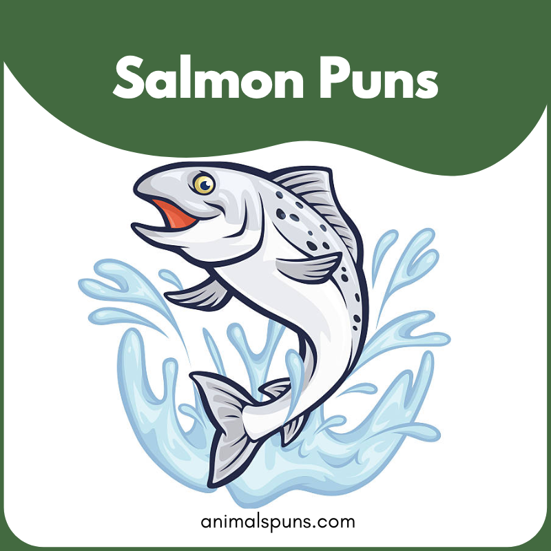 Salmon puns