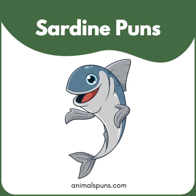 Sardine puns