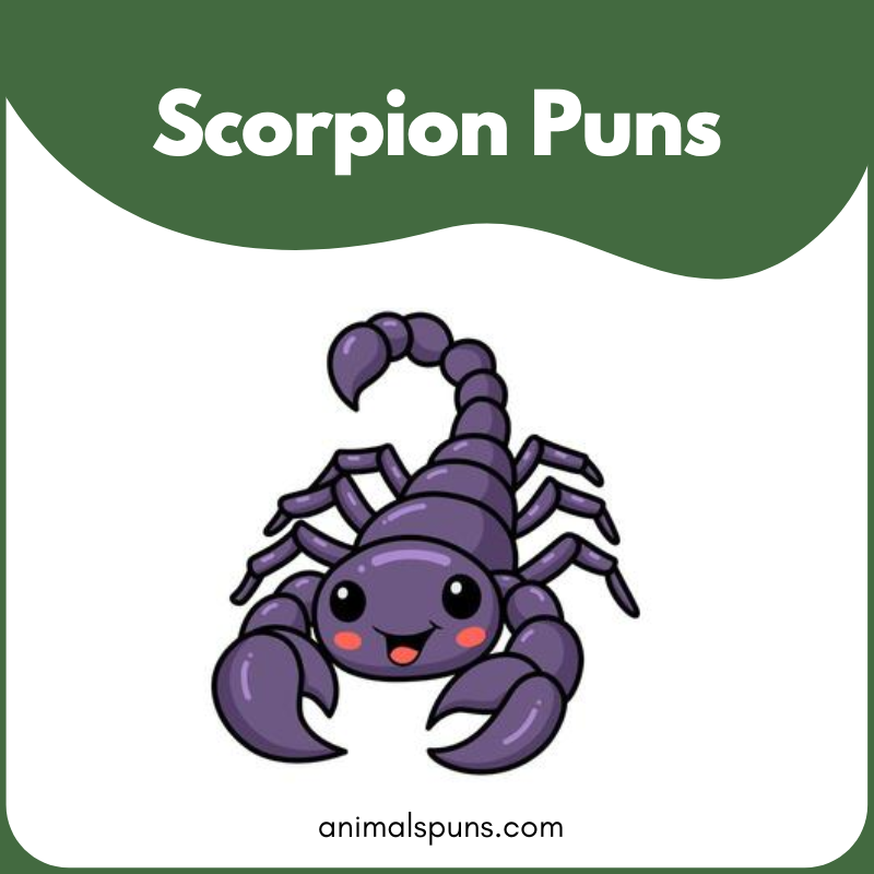 Scorpion puns