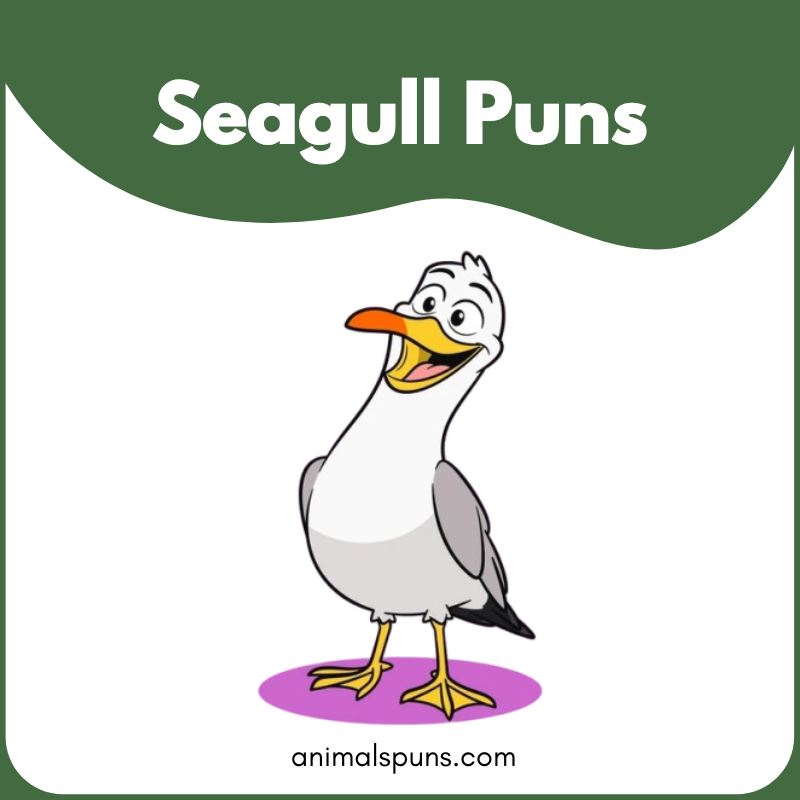 Seagull puns