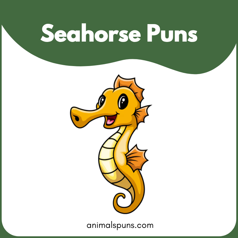 Seahorse puns