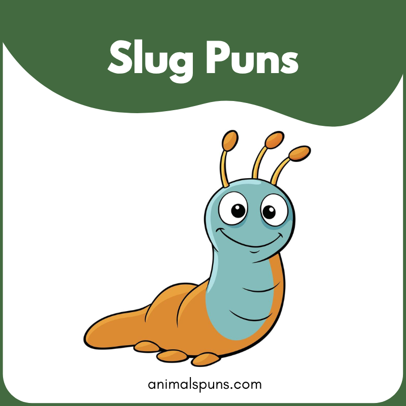 Slug puns