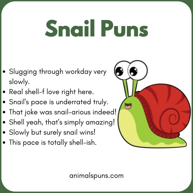 Best Snail Puns of All Time: snail pun illustration