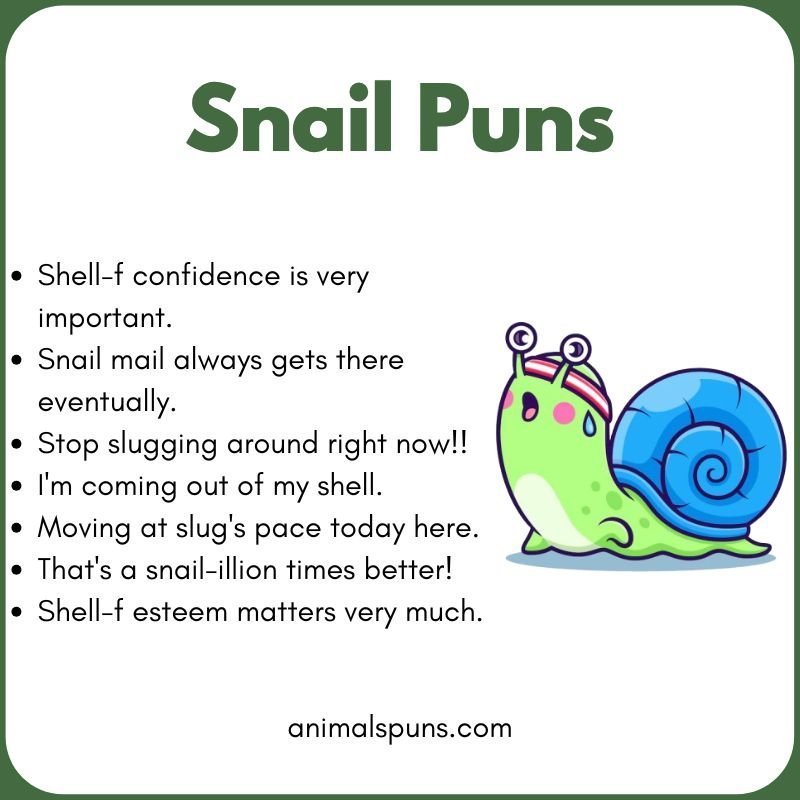 Short and Snappy One-Liners: snail pun illustration