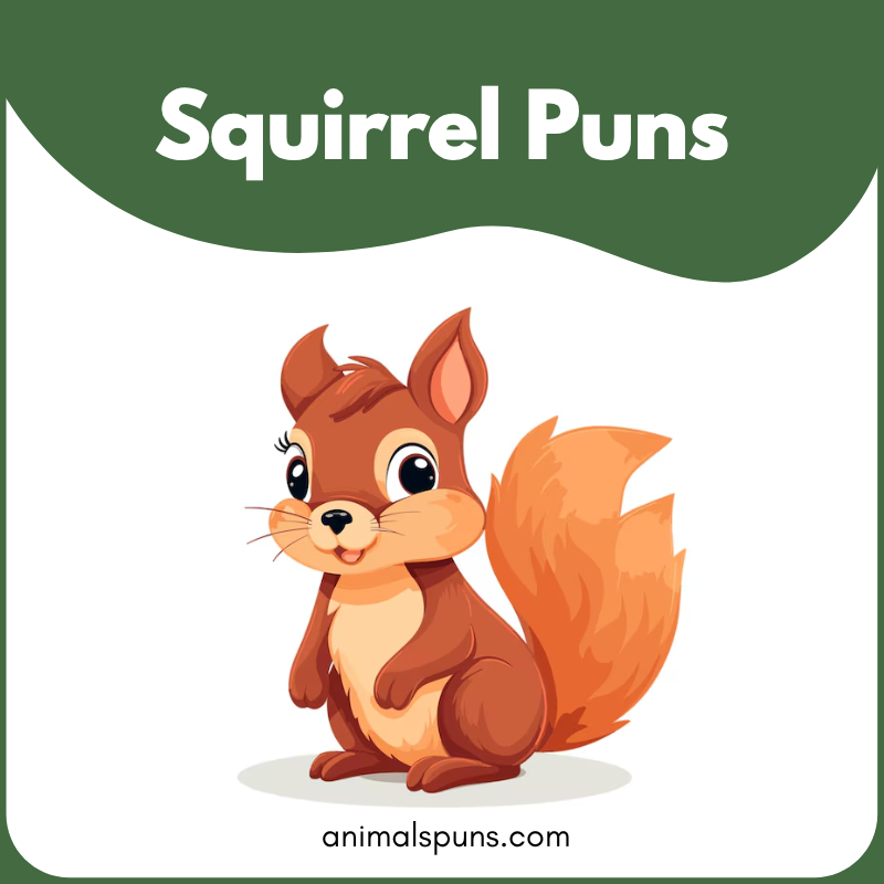 Squirrel puns