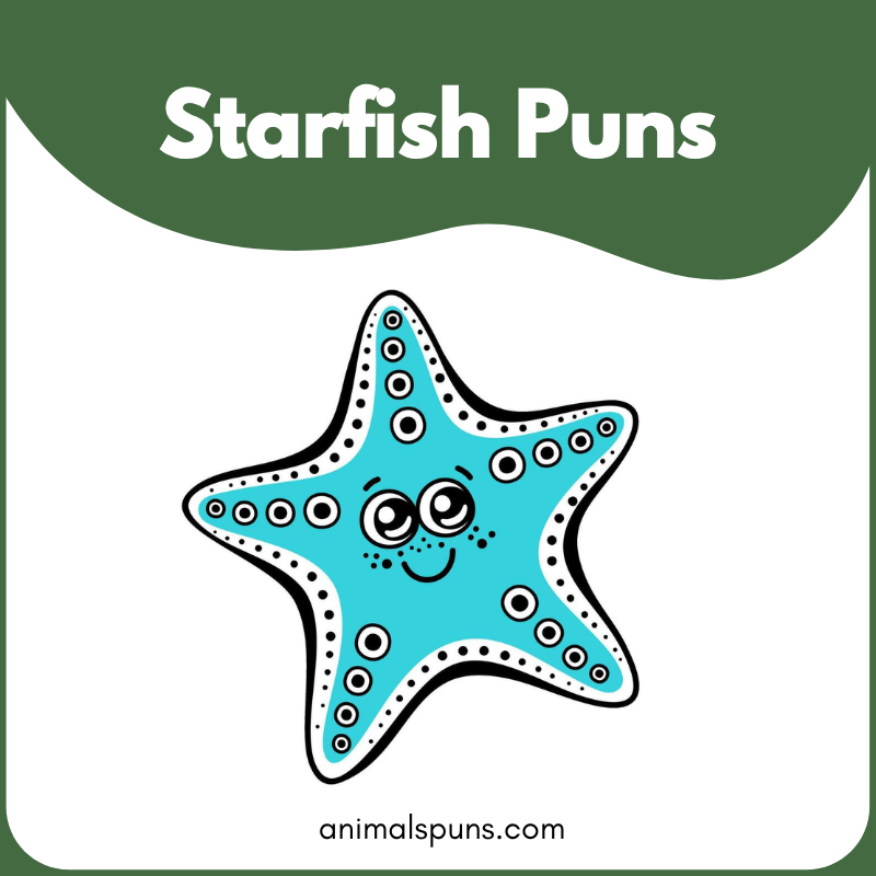 Starfish puns
