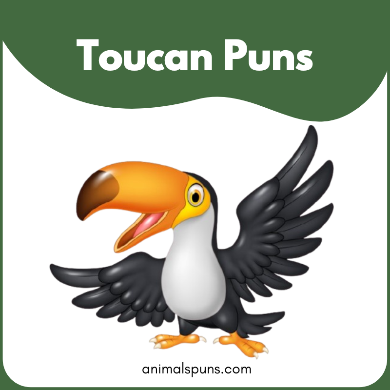 Toucan puns