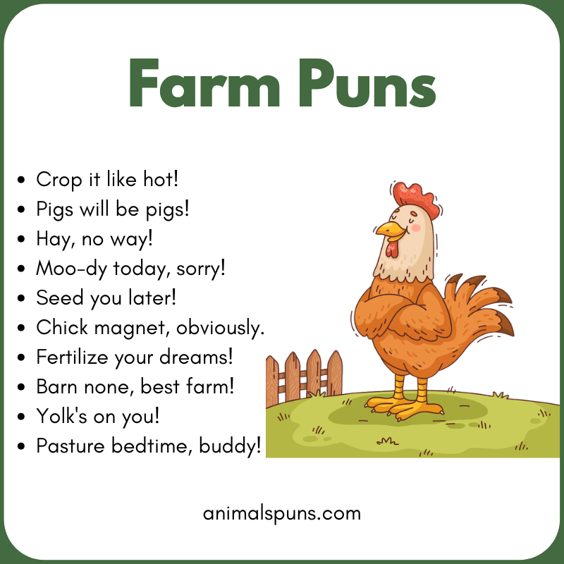 Chicken and Rooster Puns: farm pun illustration