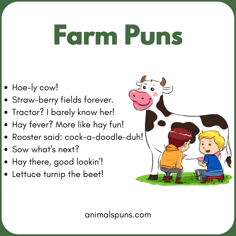 Cow and Dairy Puns: farm pun illustration