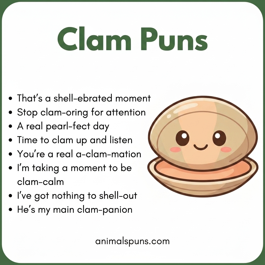 Short One-Liner Clam Puns: clam pun illustration
