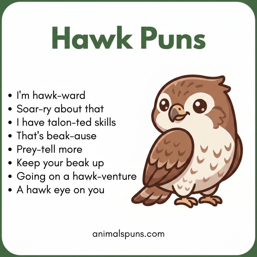 Sharp One-Liners That Hit Instantly: hawk pun illustration