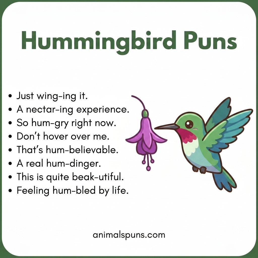 Speedy Bird Puns for Fast Laughs: hummingbird pun illustration