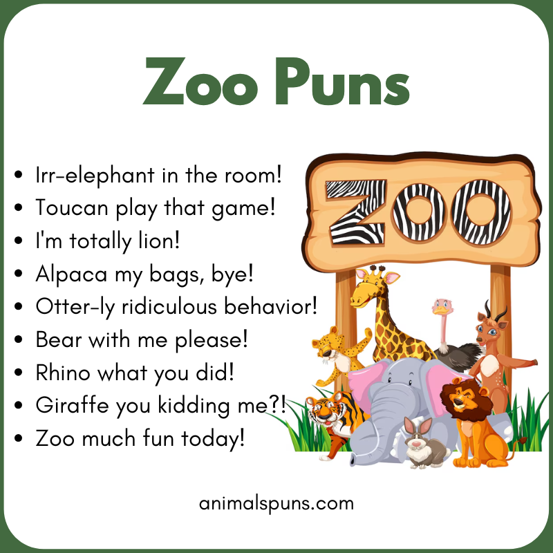 Best Zoo Puns of All Time: zoo pun illustration