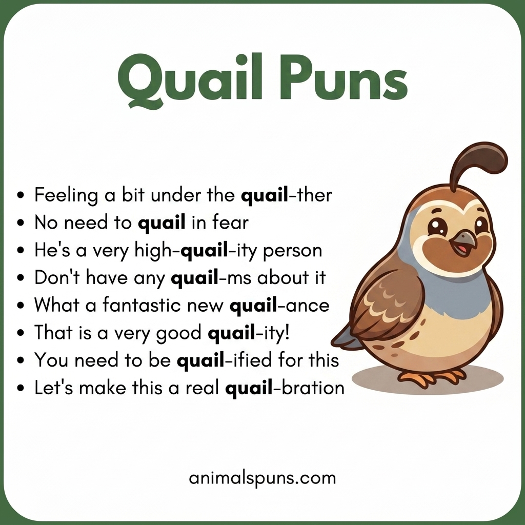 Best Quail Puns and Jokes of All Time: quail pun illustration