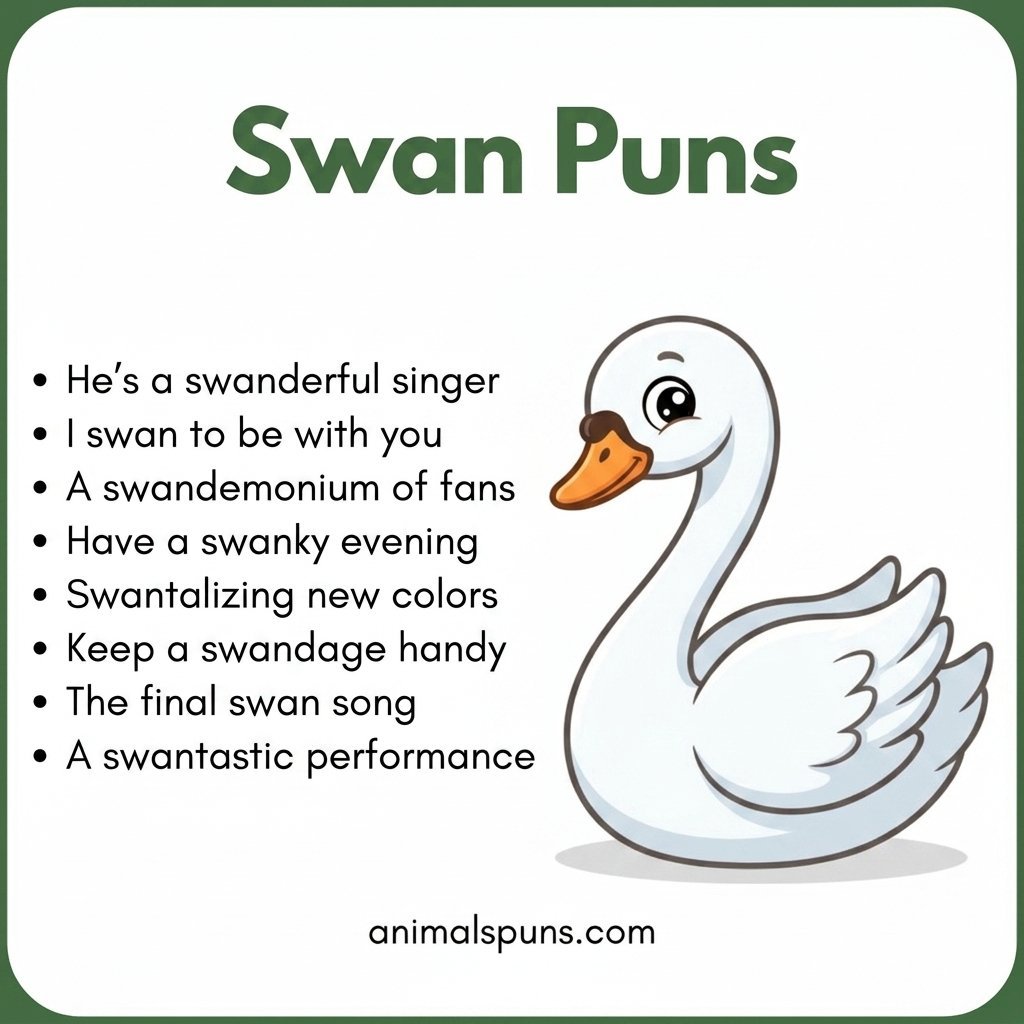 Best Swan Puns of All Time: swan pun illustration
