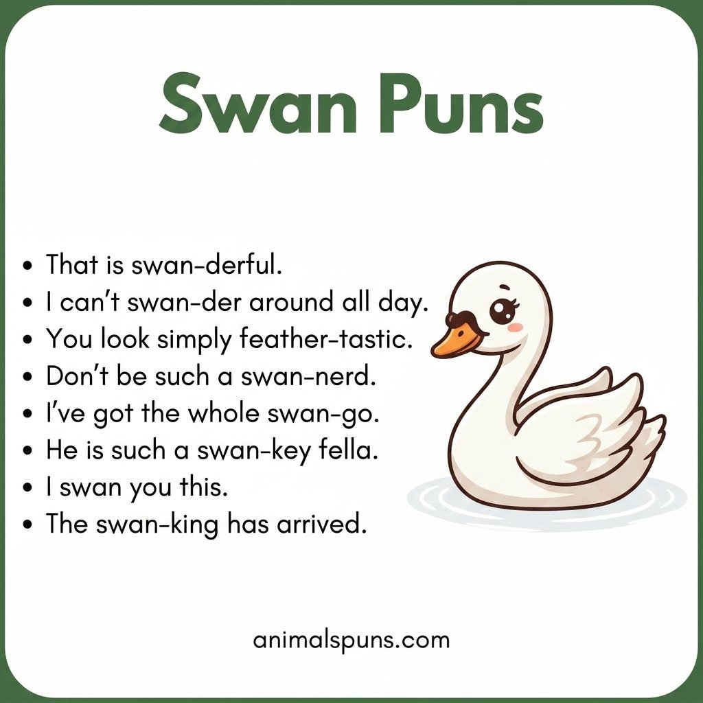 Swan Love Puns: swan pun illustration
