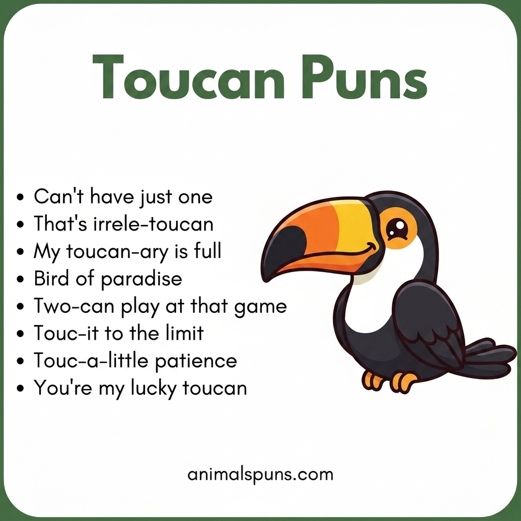 Toucan Puns for Love and Friendship: toucan pun illustration