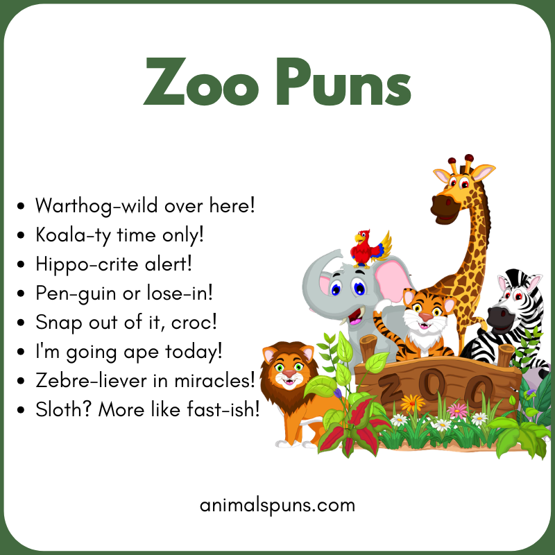 Lion and Big Cat Puns: zoo pun illustration